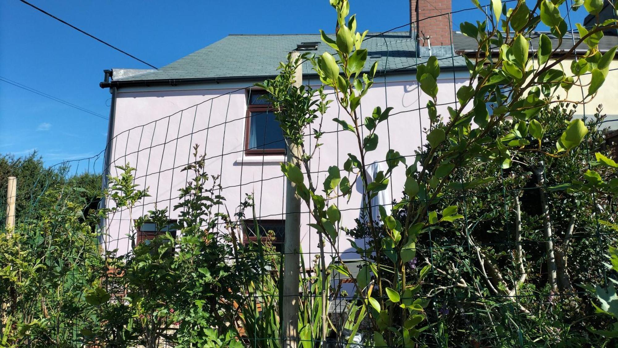 Clearview Cottage 세인트오스틀 외부 사진